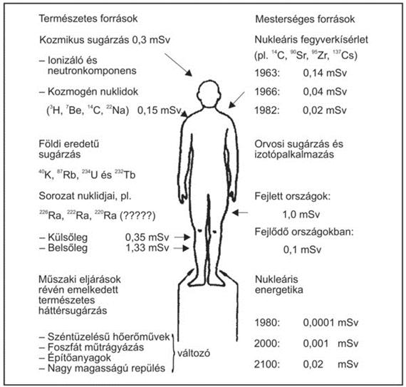 2. Az emberi szervezetet érő sugárhatások